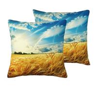 AUBKFELD Lot de 2 housses de coussin carrées décoratives en lin doux pour salon, canapé, lit, banc - Motif champ de blé - 50 x 50 cm