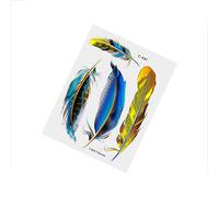 Aublinto Autocollant De Plume De Voiture,3D Mode Personnalisé Plume DéCalcomanies DéCoratives Autocollants 3D Autocollants De RéParation De Rayures DéCoratifs Autocollant Sticker Ensemble