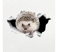 Aublinto Autocollants De Voiture,Autocollant de Voiture en Vinyle Externe Motif hérisson Mignon,Animal Crack Autocollant De Voiture Autocollants De Voiture Auto-AdhéSifs Couvrent Les Rayures