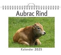 Aubrac Rind