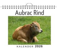 Aubrac Rind: (Wandkalender 2026, Kalender DIN A4 quer, Monatskalender im Querformat mit Kalendarium, das perfekte Geschenk)