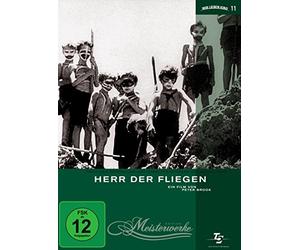 Aubrey,James - Herr der Fliegen - Meisterwerke Edition