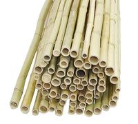 AUBRY GASPARD Canisse en Bambou 1,5 x 1,8 m