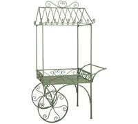 AUBRY GASPARD - Chariot De Présentation en Métal Laqué Vert - Dimensions 108X56X180 cm - Design Élégant et Pratique - Prêt À Monter - Idéal pour Magasins et Bureaux - Verte - 108X56X180 cm