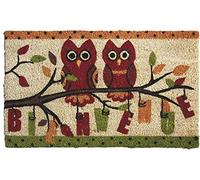 AUBRY GASPARD Paillasson en Coco avec Inscriptions 75 x 45 cm Hiboux Bienvenue