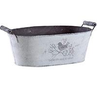 AUBRY GASPARD - Corbeille Ovale en Métal Le Jardin aux Oiseaux - Patiné - Métal et Bois (Poignées) - Dimensions 30 x 18 x 11 cm - Décoration Intérieure Élégante - Jardinière ou Cache-Pot Polyvalent