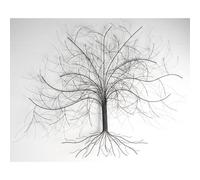 AUBRY GASPARD - Décoration Murale Arbre - Métal - Dimensions L 101 x H 76 cm - Évoque Le Romantisme et la Nature - Installation Facile - Idéale pour Salon ou Bureau - Livrée en Carton Individuel