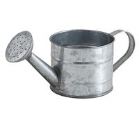 AUBRY GASPARD - Petit Arrosoir Déco 75cl en Zinc - Longueur 25 x Ø 11 x Hauteur 9-11 cm - Décoratif Non Fonctionnel - Style Vintage Rustique pour Jardin ou Intérieur - Léger avec Poids 0,26 kg