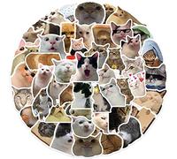 AUCEKO Lot de 50 autocollants Meme Cat - En vinyle imperméable - Pour ordinateur portable, enfants, voiture, moto, vélo, skateboard, bagages, valise, ordinateur - Graffiti Decal