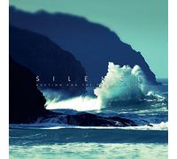 Auction for the Prom - Silence [Import]