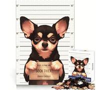 Aucun Regret Puzzle Difficile de 1000 pièces représentant la Photo d'un Toy Terrier, idéal pour Adultes Jeu Intelligent à Faire à la Maison Cadeau Festif (50x75cm)