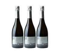 Audace Méthode Traditionnelle - Blanc - Vignoble Drouard - Vin de France - Vin Blanc (3x75 ffervescent