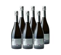 Audace Méthode Traditionnelle - Blanc - Vignoble Drouard - Vin de France - Vin Blanc (6x75 ffervescent