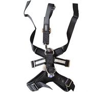 Audi 2256734 Ceinture de Sécurité pour Chien, Taille L