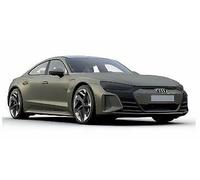 Audi Rs E-Tron Gt 2021 Olive Metallic 1:18 Model 188380 Norev