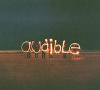 Audible - Sky Signal [Import]