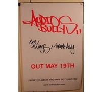 Audio Bullys - 52x76 cm - AFFICHE / POSTER G