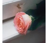 Audio Cd Planet Funk - Blooom