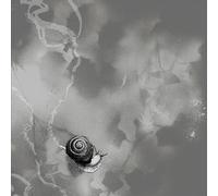 Audio Cd Rats On Rafts - Deep Below