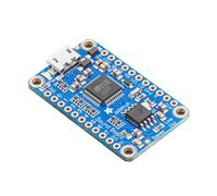 Audio FX Mini Carte Son avec déclencheur WAV/OGG Flash 16 Mo
