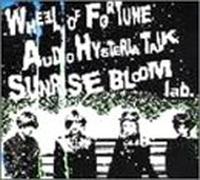 Audio Hysteria Talk [Import]