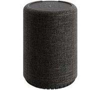 Audio Pro G10 - Haut-parleur intelligent - Bluetooth, Wi-Fi - Contrôlé par application - 2 voies - gris foncé Gris foncé