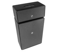 Audio Pro Haut-Parleur Bluetooth et WiFi sans Fil Multiroom très Puissant - Grand Haut-Parleur 300 W avec Son de Musique en Direct - Bafle avec égaliseur Drumfire Blackstar Edition - Noir