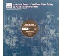 Audio Soul Project - You Know Free Falling