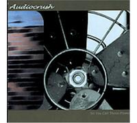 Audiocrush - So You Call These Flowers