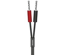 AudioQuest Câble LS-Kabel Q2 Noir 3 m avec Sure Grip 100 Silver BFA