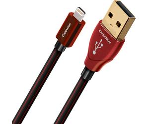 Audioquest Cinnamon USB A vers Lightning (1,5 m) - Câbles USB