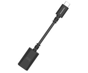 AudioQuest DragonTail Adaptateur USB A vers C Carbone