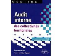 Audit Interne Des Collectivités Territoriales