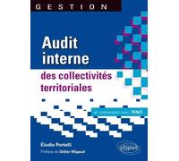 Audit interne des collectivités territoriales - Elodie Portelli - Ellipses - broché - Etude