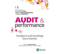 Audit & performance: Stratégies et outils de pilotage des entreprises