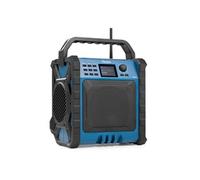 Audizio TEMI-XL - Radio de Chantier DAB+/FM avec BT Sans Fil & Batterie | IP54 200W