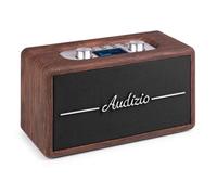 Audizio Tune60 - Enceinte Portable BT Rétro Noyer avec Radio DAB+ / FM, USB et Télécommande - Haut-parleur Vintage Mobile 40W