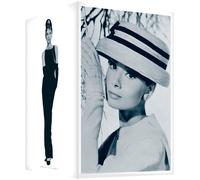 Audrey Hepburn Box [7dvd] [Ltd [Import allemand]
