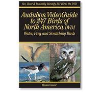 Audubon 1: Video Guide 247 Birds of North America [Import USA Zone 1]