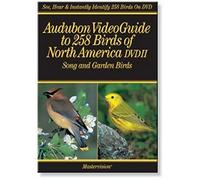 Audubon 2: Video Guide to 258 Birds of North Amer [Import USA Zone 1]