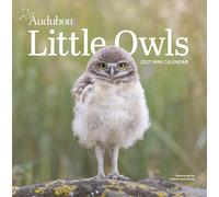 Audubon Little Owls Mini Wall Calendar 2027: A Year of Fluffy and Round Owls