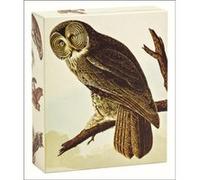 Audubon Owls QuickNotes by John James Audubon John James Audubon (Auteur)