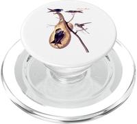 Audubon Purple Martin Nord American Birds Education Nature PopSockets PopGrip pour MagSafe
