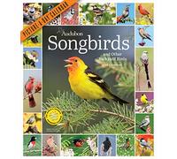 Audubon Songbirds and Other Backyard Birds Picture-A-Day Wall Calendar 2024: A Beautiful Bird Filled Way to Keep Track of 2024