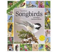 Audubon Songbirds and Other Backyard Birds Picture-A-Day® Wall Calendar 2027