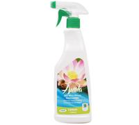 AUELA Nettoyant Vitre Bio aux Noix de Lavage - 500 ml