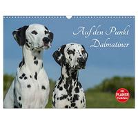 Auf den Punkt - Dalmatiner (Wandkalender 2026 DIN A3 quer), CALVENDO Monatskalender: Dalmatiner auf 13 wunderschönen Fotos für Sie präsentiert
