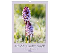 Auf der Suche nach Orchideen in Deutschland (Wandkalender 2026 DIN A3 hoch), CALVENDO Monatskalender: Welche Orchideen sind in der eigenen Heimat finden