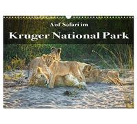 Auf Safari im Kruger National Park (Wandkalender 2026 DIN A3 quer), CALVENDO Monatskalender: Die unglaubliche Artenvielfalt des Kruger National Parks fasziniert immer wieder!