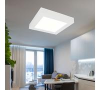 Aufbaupanel Plafonnier Intensité Variable Tdc Lumière Du Jour Blanc LED L 17,2cm